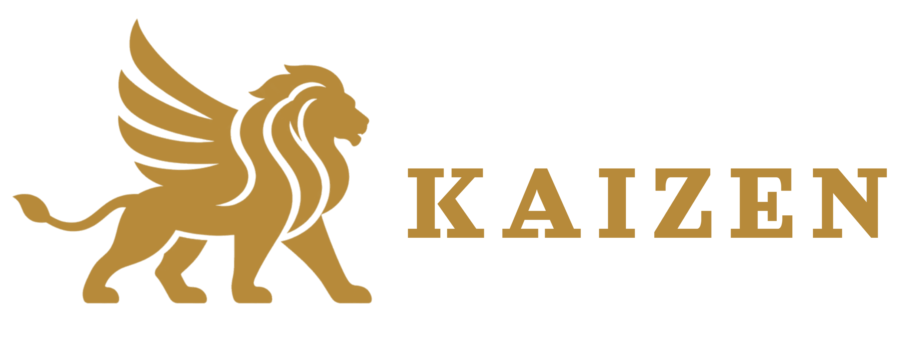 kaizen